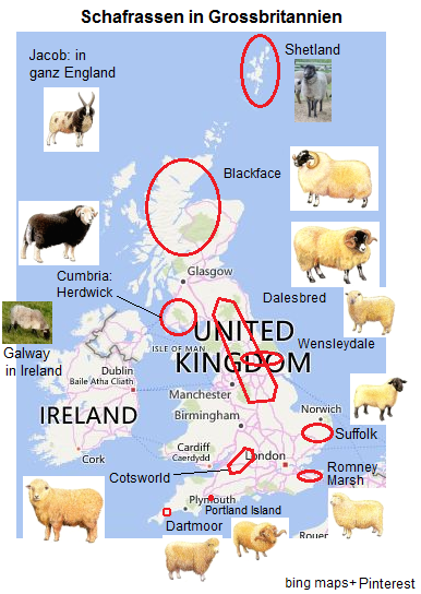 Schafe: Karte von Grossbritannien
                                mit den Schafrassen