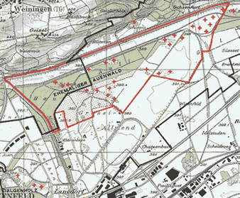 Frauenfeld : ehemaliger
                            Auenwald