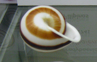 Calocochlia albaiensis, primer plano