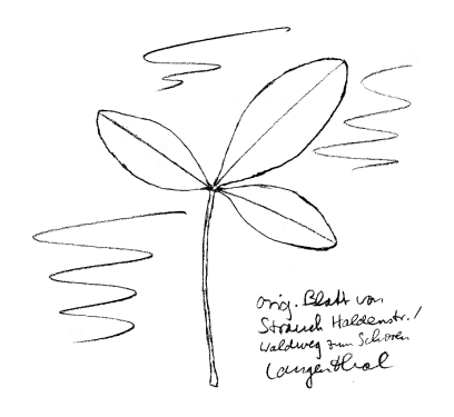 Strauch: Roter Geissklee, Blatt