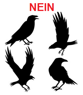 Krähen in 4 Stellungen Schwarz-Weiss Krähen
in 4 Stellungen Schwarz-Weiss