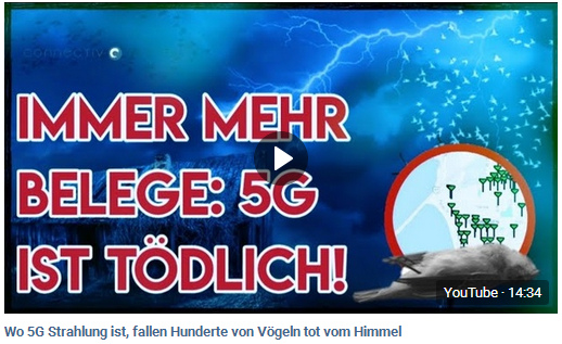 Filmtitel: Immer mehr Belege: 5G
ist tödlich - Massenmord an Vögeln, wo
5G installiert und ausgebaut wurde Filmtitel: Immer mehr Belege: 5G
ist tödlich - Massenmord an Vögeln, wo
5G installiert und ausgebaut wurde