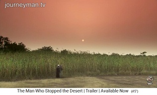 Yacouba Sadabogo neben seinem
                    fruchtbaren Hirsefeld