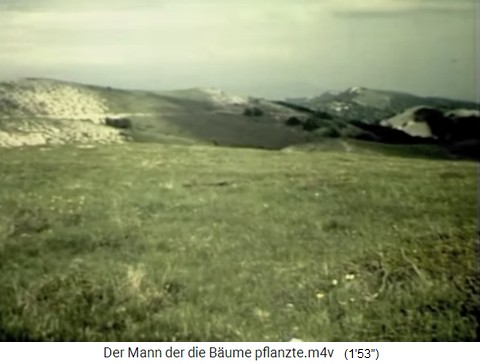 Grasland ohne Wald am Berg Ventoux
                    (mont Ventoux)