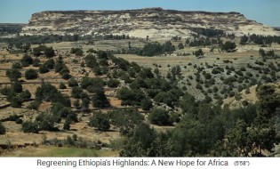 Die Provinz Oromia in
                      Äthiopien geniesst die neue Bewaldung