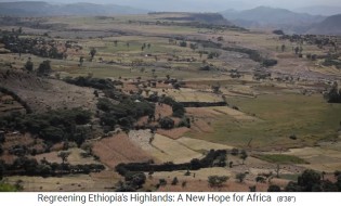 Das Hochland von
                    Äthiopien wird wieder grün mit Wald, Dämmen und
                    Gräben