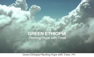 Filmtitel "Green
                    Ethiopia. Planting hope with trees"