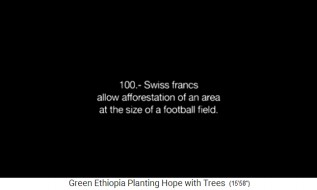 Tablero de texto: 100 francos
                                suizos permiten la forestación de una
                                zona del tamaño de un campo de fútbol