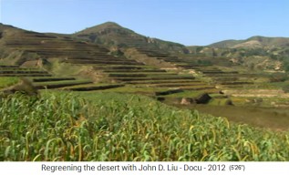 China: Das
                      regenerierte Lössplateau mit bepflanzten
                      Terrassen