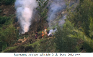 Ruanda,
                      Brandrodung am Hang