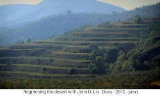 Ruanda, Terrassen f�r die
                    Landwirtschaft ohne Erosion