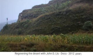 Ruanda, ein Maisfeld oder Hirsefeld im Tal