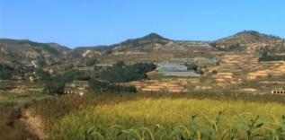 China, das regenerierte L�ssplateau 2012
                      03