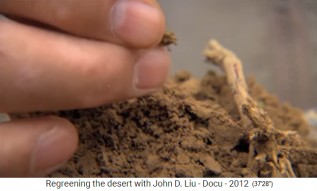 Die
                        Permakultur-Erde auf dem L�ssplateau ist beste
                        Erde, Zoom 01