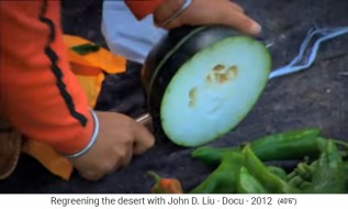 China L�ssplateau,
                          Markt 01 mit Aubergine und Chili