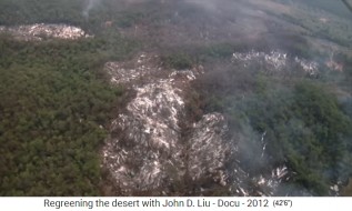 Bolivien mit Brandrodung 03, Luftbild