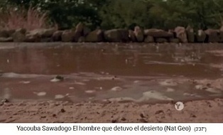 Niedrige Steinw�lle verlangsamen den
                            Abfluss des Regenwassers, Methode von
                            Yacouba Sadabogo in Gourga, Burkina Faso