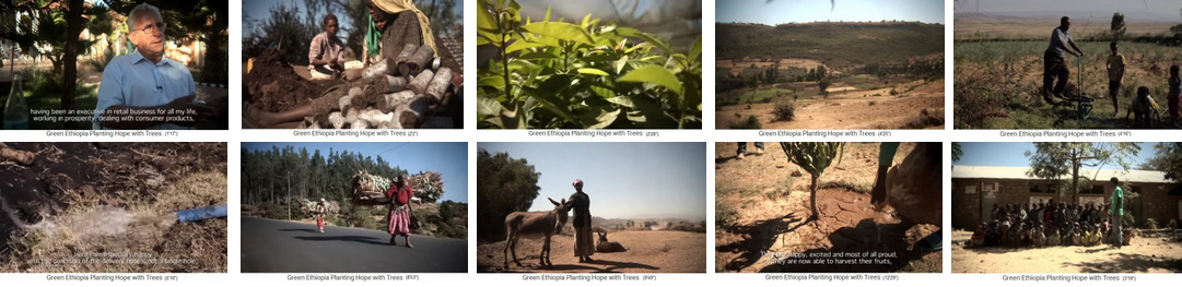 W�ste in Wald verwandeln
                              04: Hochland von �thiopien (Afrika) - die
                              Stiftung "Green Ethiopia" (Film
                              von 2014) Baumschule - B�ume setzen und
                              pflegen - neue Gew�sser mit
                              Bew�sserungslandwirtschaft das GANZE Jahr
                              hindurch - Esel f�r Transporte - der
                              Schulbaum