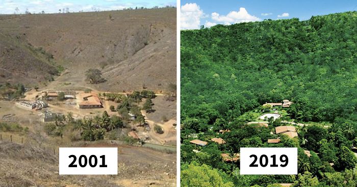 Brasilien: Die Farm
                                  Bulc�o von Herr+Frau Salgado vorher
                                  2001 und nachher 2019