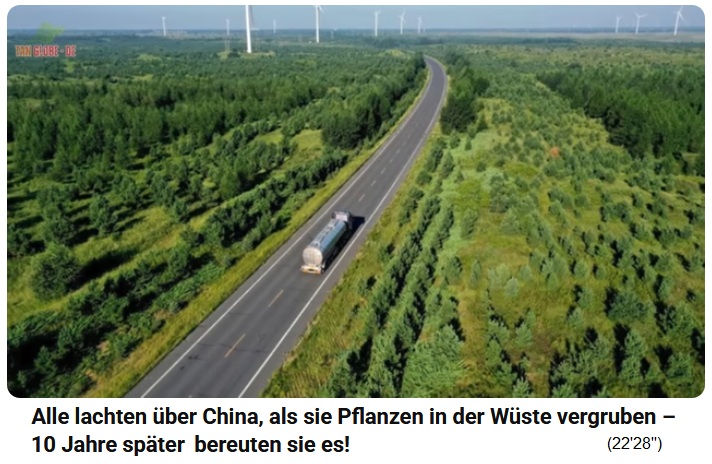 Strasse durch
                                                      die
                                                      Taklamakan-W�ste
                                                      ist nun mit Wald
                                                      gesichert 02