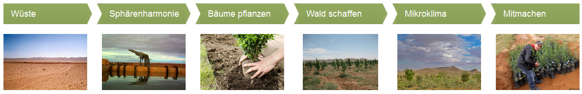 Webseite Wstenbegrnung
                  (Desert Greening), die Stadien
                  (https://desert-greening.com)