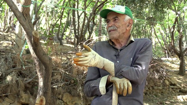 Seyhmus Erginoglu hat in Artuklu (Mardin,
Türkei) haufenweise Wald gepflanzt Seyhmus
Erginoglu hat in Artuklu (Mardin, Türkei)
haufenweise Wald gepflanzt