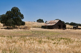 ausgetrocknete Wiese nahe des
                                    Catheys Valley in Kalifornien