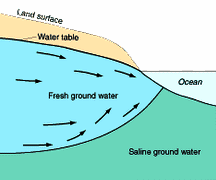 Schema Salzwasser
                              mit Grundwasser 15, Grundwasser entwssert
                              ins Meer, darunter das Salzwasser