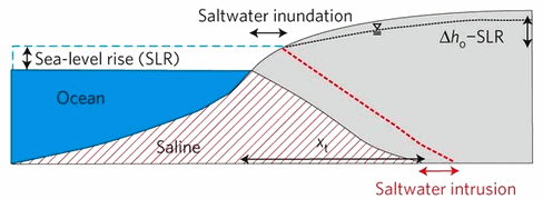 Schema eindringendes Salzwasser durch
                            erhhten Meeresspiegel 01