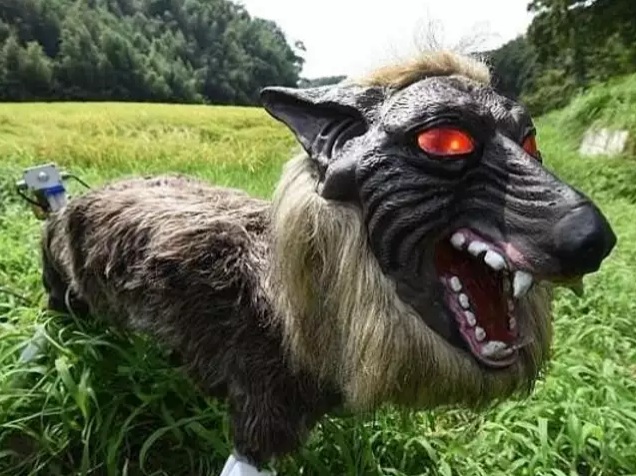 Japan entwickelt einen Roboter-Wolf
gegen Bären am 28.12.2024 Japan
entwickelt einen Roboter-Wolf gegen Bären am
28.12.2024