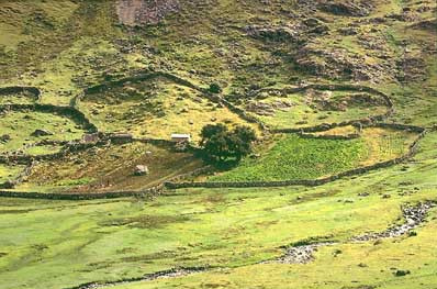 Steinmauern in den
Hochtälern von Lateinamerika: Steinmauern
grenzen Felder ab, die gleichzeitig kleinen
Tieren Schutz und Unterschlupf bieten Steinmauern in den Hochtälern von
Lateinamerika: Steinmauern grenzen Felder ab,
die gleichzeitig kleinen Tieren Schutz und
Unterschlupf bieten