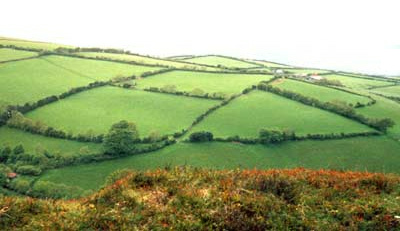 Feldhecken
sind nicht nur Eingrenzungen oder Unterschlupf
für kleine Tiere, sondern schützen auch vor
Erosion Feldhecken sind nicht nur Eingrenzungen
oder Unterschlupf für kleine Tiere, sondern
schützen auch vor Erosion
