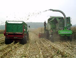 Mähdrescher für Mais
(Maisdrescher) mit Spindelwerfer der
rassistisch-darwinistischen Killer-Industrie,
verbunden mit Börsenkursen, wo Tiere und Erde
keine Rechte haben Mähdrescher für Mais (Maisdrescher)
mit Spindelwerfer der
rassistisch-darwinistischen Killer-Industrie,
verbunden mit Börsenkursen, wo Tiere und Erde
keine Rechte haben