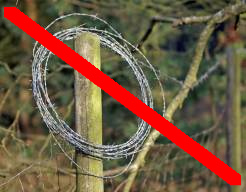 Stacheldrahtrolle an Holzpflock Stacheldrahtrolle an Holzpflock