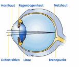 Auge (Querschnitt) als Mandala