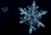 Un mndala de cristal de hielo
                                tresdimensional