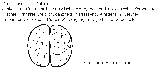 Das
                zweigeteilte menschliche Gehirn als Mandala