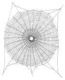 Spiderweb mandala