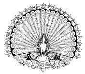 Mandala d'animaux: Mandala de paon avec
                            100 yeux comme symbole de l'immortalit