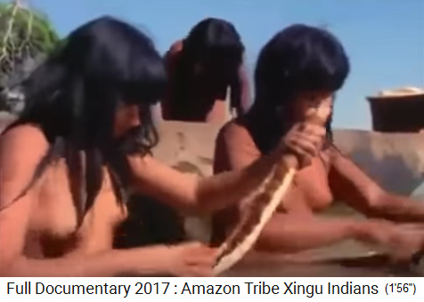Mdchen ca. 14 Jahre alt oben ohne, Xingu-Ureinwohner im Amazonas