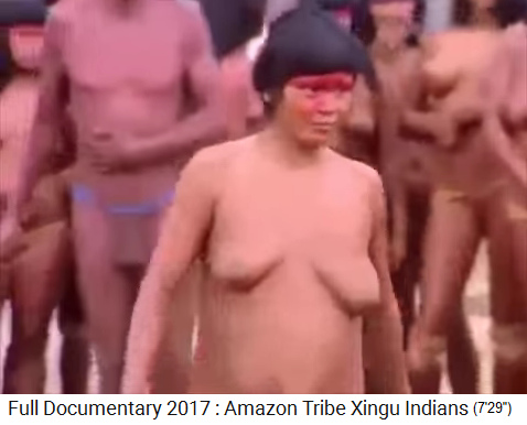 Frau oben ohne 10 im Amazonas-Urwald, Xingu-Ureinwohnerin mit hngenden Brsten [13] - Mutter Erde kann das wieder aufrichten!