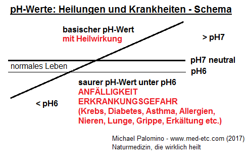 Das Schema mit dem pH-Wert: Unter pH6 herrscht hohe Anflligkeit fr Krankheiten, zwischen pH6 und pH7 fr das normale Leben kaum, pH7 ist neutral, und ber pH7 herrscht heilende Wirkung, Krebs heilt bei pH8