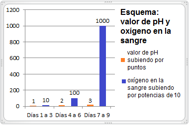 Esquema con la conexi�n de los valores de pH con el ox�geno en la sangre: por un punto de pH el ox�geno en la sangre sube por el factor 10