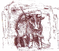 Una peque�a vaca terrestre acepta una ni�a
                con hambre