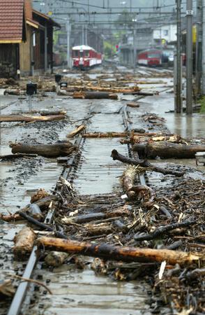 Giswil (Switzerland): Driftwood
                        on a train station (August 2005)