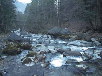 Engelberger Aa river with rocks as big
                        as man. The disaster at Engelberg was
                        foreseeable