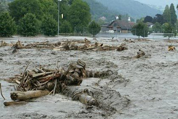 Sarnen
                          (Switzerland), driftwood on the streets
                          (August 2005)
