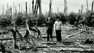 Waldmord im Vietnamkrieg:
              "US"-Waldentlaubung mit Agent Orange: Es bleiben
              tote Baumstümpfe