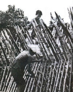 S�dvietnam, Strategische
                D�rfer-Programm, Bambuszaun