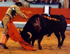 Stierkampf um Sieg
                      oder Tod, in Gold-Uniform